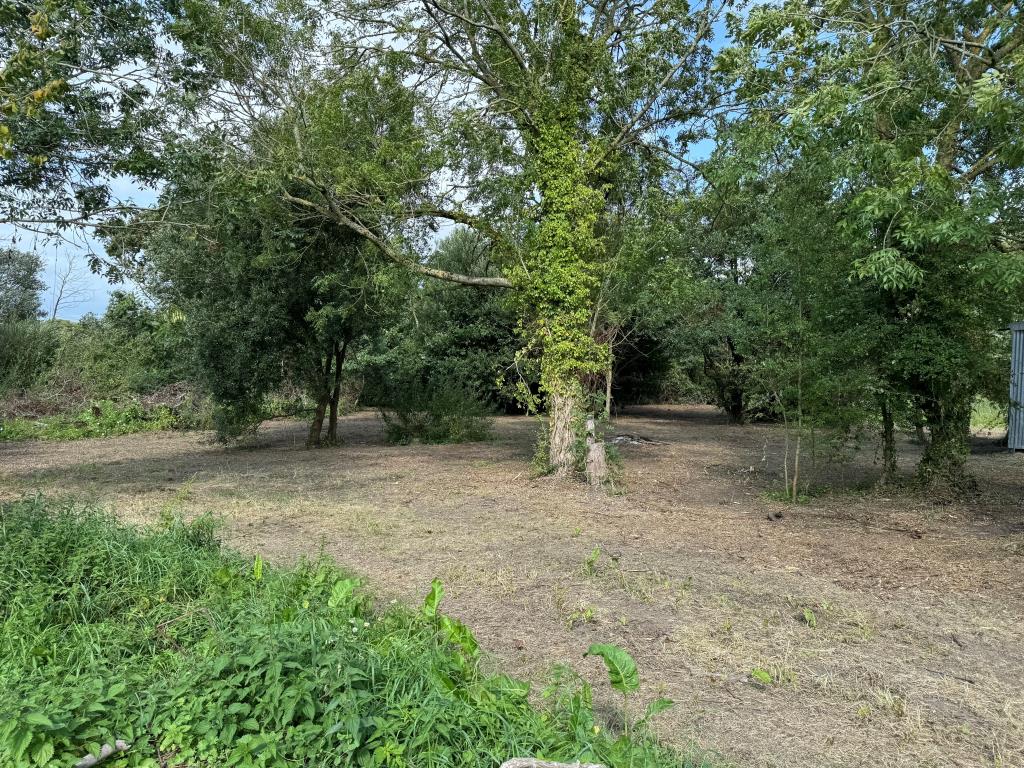 Lot: 130 - FREEHOLD RURAL BARN WITH CONSENT FOR CONVERSION ON A PLOT OF 1.27 ACRES - Looking Back Towards the Rear of the Site